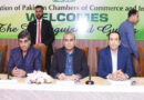 Special Business Passport On Cards To Ease Investment Flow Naqvi