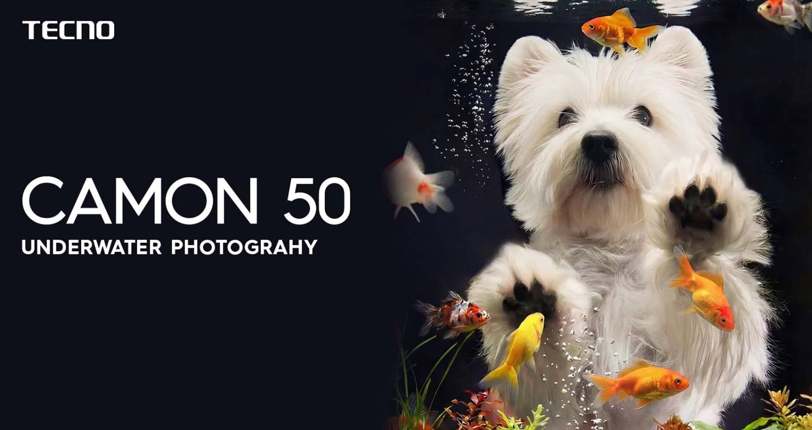 Tecno Camon 50 Redefines Smartphone Innovation With Underwater Camera And Ai Power 
