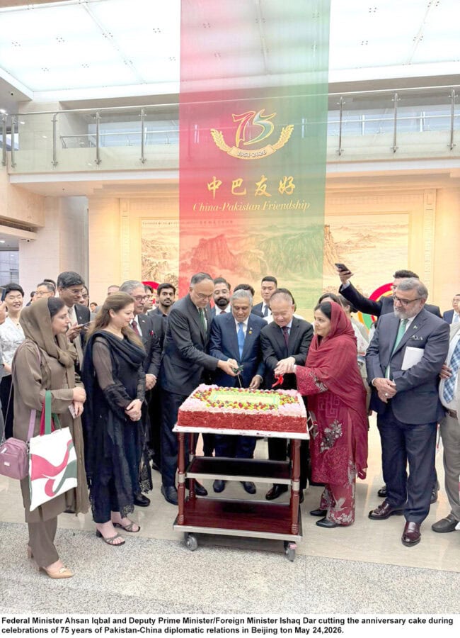 Ahsan Calls For Establishment Of Five Political Corridors To Support Cpec 2 0