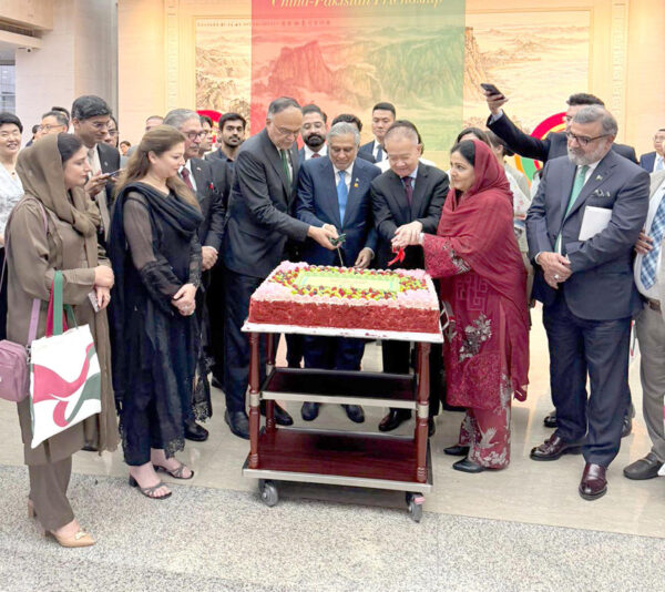 Ahsan Calls For Establishment Of Five Political Corridors To Support Cpec 2 0