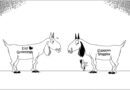 Daily Cartoon 24 05 2026