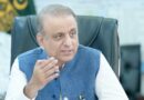 Federal Minister Aleem Khan Criticizes Provincial Delays Over Stalled Projects