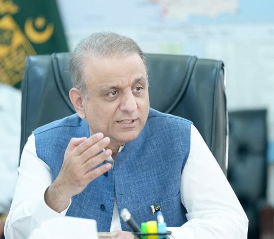 Federal Minister Aleem Khan Criticizes Provincial Delays Over Stalled Projects