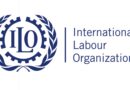 Ilo Urges Governments To Make Lifelong Learning A Core Economic And Social Priority
