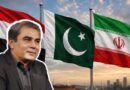 Pakistan Interior Minister Naqvi Lands In Iran Ahead Of Arbaeen Pilgrimage
