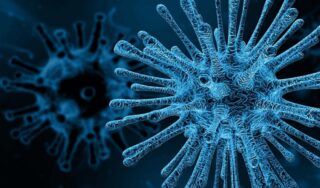 Pakistan Issues High Alert As Ebola Virus Grips African Countries