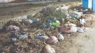 Punjab Announces Rs50000 Fine For Illegal Disposal Of Offals On Eidul Azha