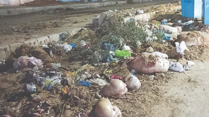 Punjab Announces Rs50000 Fine For Illegal Disposal Of Offals On Eidul Azha