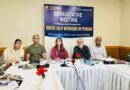 Punjab Brick Kiln Workers Minimum Wage Enforcement Urged