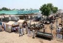 Punjab Focuses On Eidgahs Cattle Markets Amid Looming Heatwave