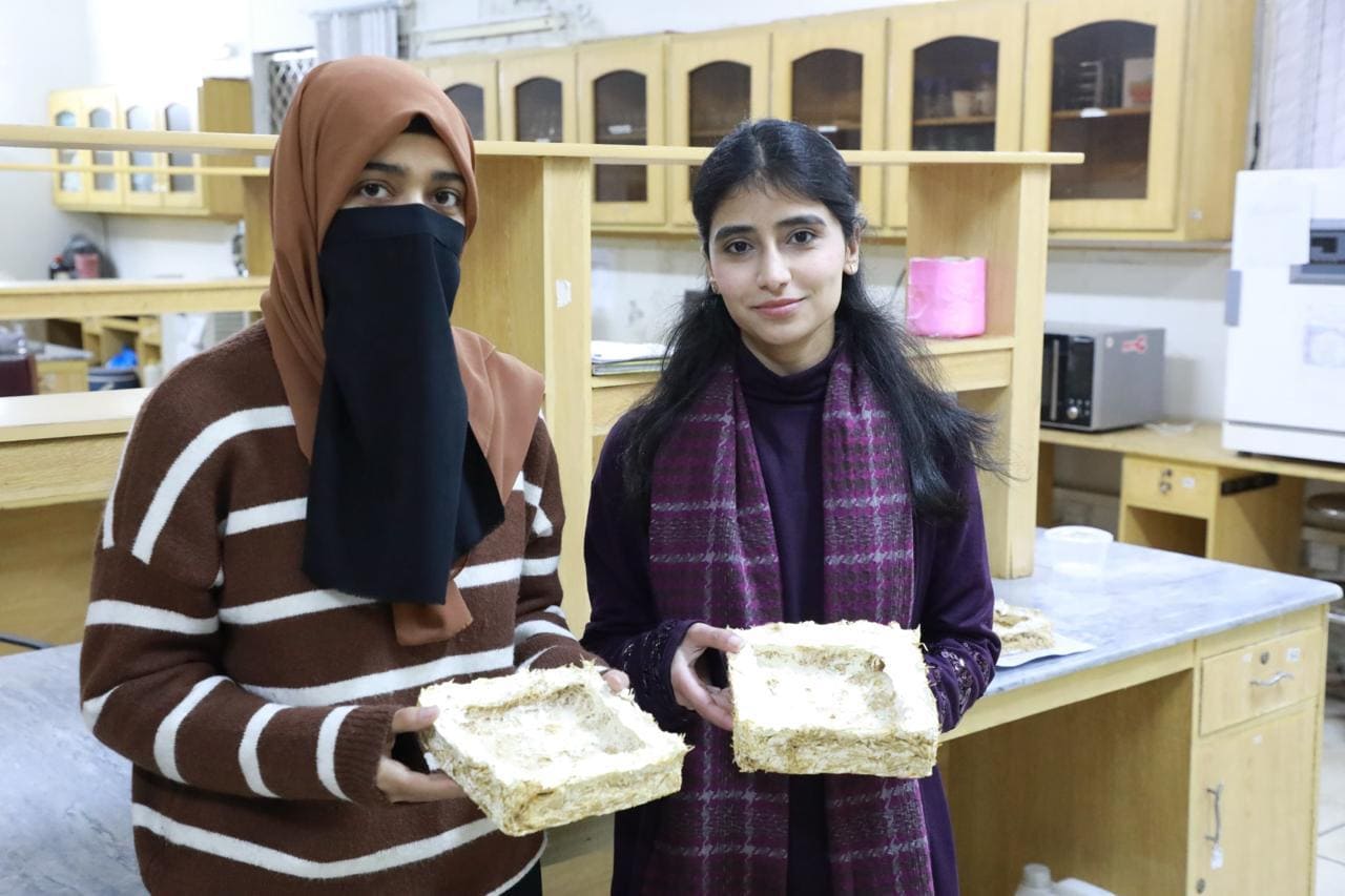 Students Develop Pakistans First Mycelium Based Packaging Made From Mushrooms 