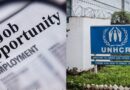 Unhcr Jobs Open For Pakistanis Apply Online