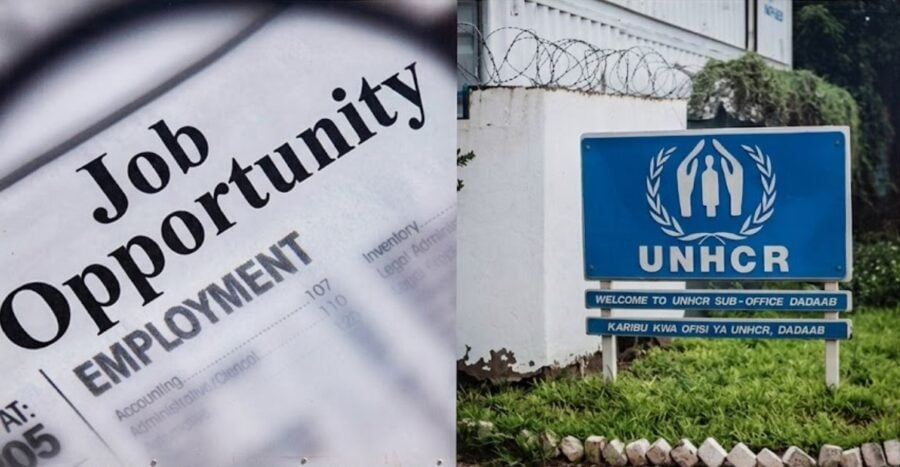 Unhcr Jobs Open For Pakistanis Apply Online