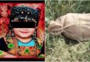 3 Year Old Kulsoom Raped Murdered In Karachi Multiple Dna Samples Found