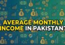 Do You Know The Average Monthly Income Per Person In Pakistan