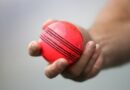 Icc Approves Trial Use Of Pink Ball In Tests To Reduce Lost Time Due To Bad Light