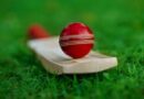 Icc Unveils Qualification Pathway For Crickets Return At La 2028 Olympics