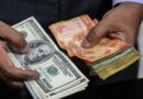 India Tops South Asia In External Debt Pakistan Second