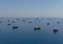 Iran Us Tensions Ease As Drones Intercepted Near Strait Of Hormuz