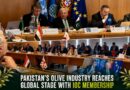 Pakistan Joins Worlds Leading Olive Producing Nations With Permanent Ioc Membership