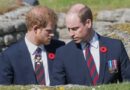 Prince William May Join Royal Reunion As Prince Harry Eyes Uk Return