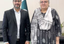 Ambassador Saqlainsyedah Meets Munich Based Journalist Saud Bin Nauman At Pakistan Embassy Berlin