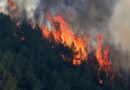 At Least 12 Killed 23 Missing As Massive Wildfire Devastates Southern Spain