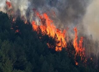 At Least 12 Killed 23 Missing As Massive Wildfire Devastates Southern Spain