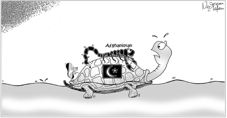 Daily Cartoon 13 07 2026