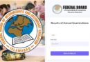 Fbise Matric Results 2026 Check Ssc Part 1 2 Results Toppers List And Gazette