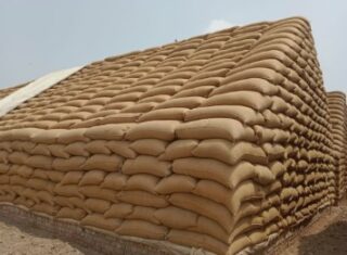 Federal Cabinet Approves Closure Of Passco By December 2026