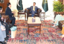 Gilani Calls For Enhanced Pakistan South Korea Cooperation In Biotechnology Ai Healthcare