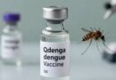 India Approves First Dengue Vaccine For People Aged 4 To 60