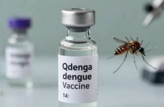 India Approves First Dengue Vaccine For People Aged 4 To 60