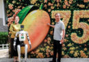 Pakistan Embassy In Beijing Organizes Mango Festival To Celebrate 75 Years Of Diplomatic Ties