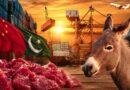 Pakistans First Donkey Meat Export To China To Woo Fresh Investment