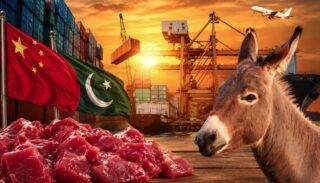 Pakistans First Donkey Meat Export To China To Woo Fresh Investment