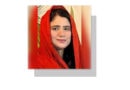 Pakistans Narrative Dominance