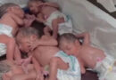 Quetta Woman Gives Birth To Quintuplets Mother Babies In Stable Condition
