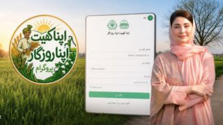 Rs2 5lac For 5 Acres Punjab Cm Announces Free Land Cash Support Under Apna Khet Apna Rozgar Program