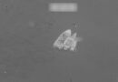 Tehran Flags Islamabad Mou Violation As Us Strikes Hit Southern Iran Over Hormuz Attacks