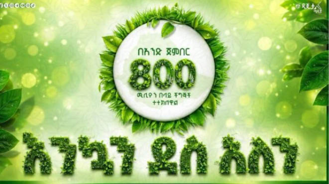 A Day To Remember Ethiopia Plants 800 Million Trees In Single Day 
