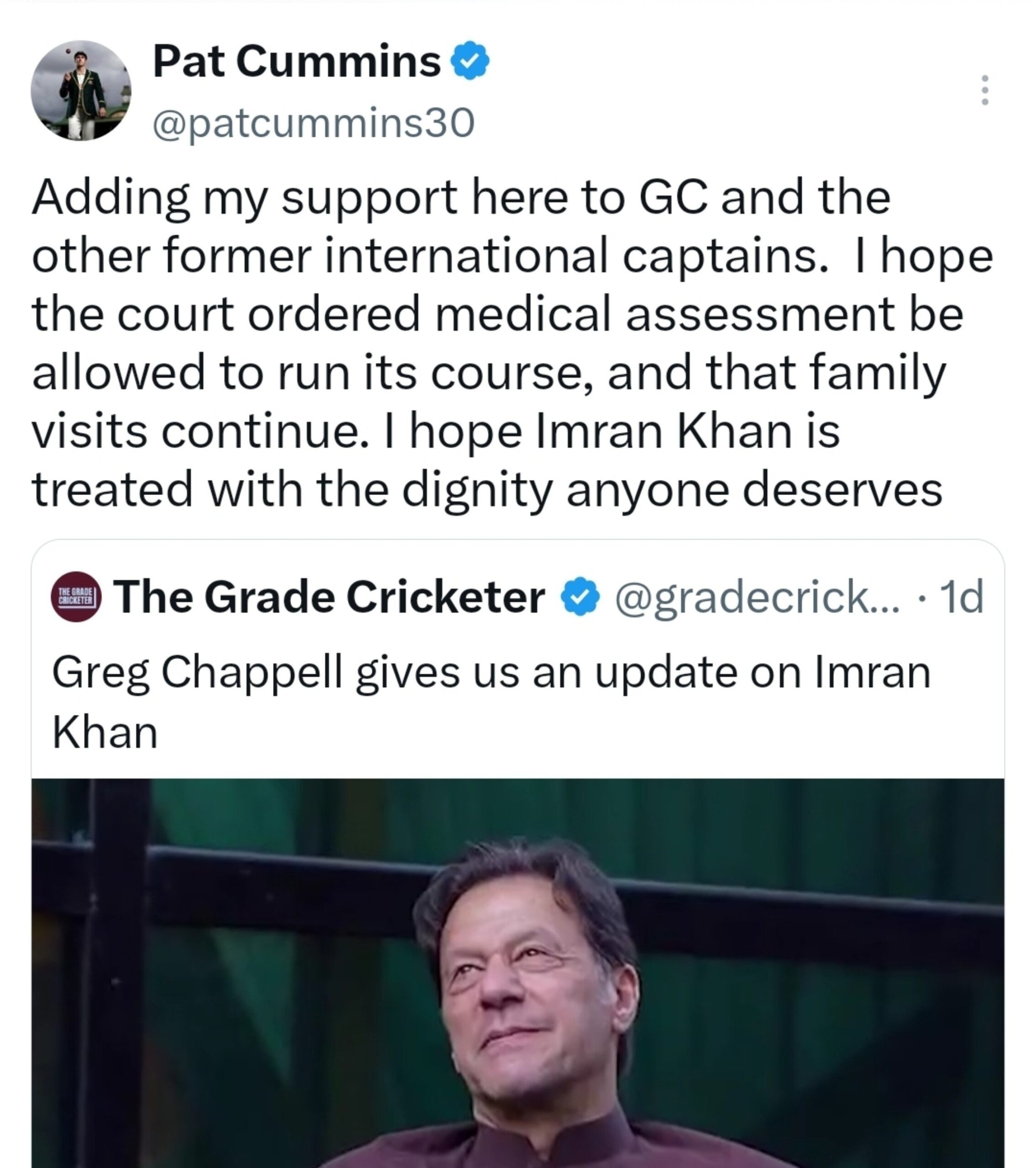 Aussie Skipper Pat Cummins Backs Imran Khan Amid Growing Calls From Cricket World 