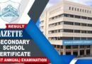 Bise Lahore Class 10 Results Complete Gazette Pdf Download