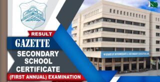 Bise Lahore Class 10 Results Complete Gazette Pdf Download