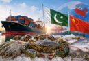 Chinas Growing Seafood Demand Opens New Export Avenues For Pakistan