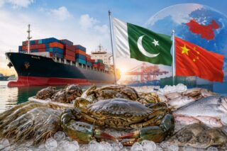 Chinas Growing Seafood Demand Opens New Export Avenues For Pakistan