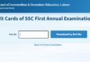 How To Free Download Class 10 Private Result Card 2026