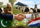 Punjab Dutch Firm Partner To Promote Climate Smart Dairy Skills
