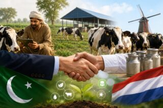 Punjab Dutch Firm Partner To Promote Climate Smart Dairy Skills